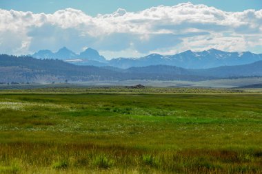 Crowley Gölü'nün yanındaki uzun vadi, Mono County, Kaliforniya. Abd. Bulutlu yaz aylarında arka planda dağ ile yeşil sulak.