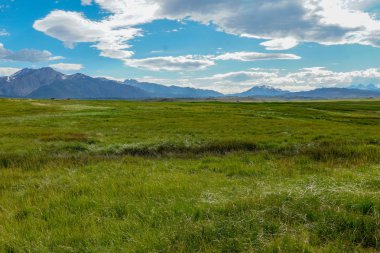 Crowley Gölü'nün yanındaki uzun vadi, Mono County, Kaliforniya. Abd. Bulutlu yaz aylarında arka planda dağ ile yeşil sulak.