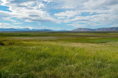 Crowley Gölü'nün yanındaki uzun vadi, Mono County, Kaliforniya. Abd. Bulutlu yaz aylarında arka planda dağ ile yeşil sulak.