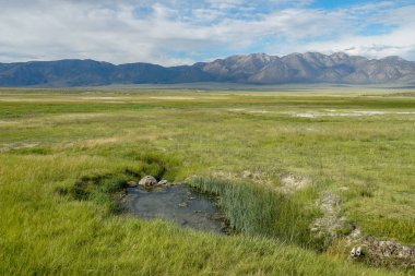 Long Valley Wild Willy's Hot Spring, Mammoth Göller, Mono County, Kaliforniya. Abd. Eski volkanik aktiviteden doğal kaplıcalar.  