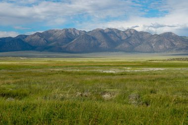 Crowley Gölü'nün yanındaki uzun vadi, Mono County, Kaliforniya. Abd. Bulutlu yaz aylarında arka planda dağ ile yeşil sulak.