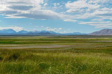Crowley Gölü'nün yanındaki uzun vadi, Mono County, Kaliforniya. Abd. Bulutlu yaz aylarında arka planda dağ ile yeşil sulak.