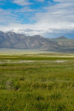 Crowley Gölü'nün yanındaki uzun vadi, Mono County, Kaliforniya. Abd. Bulutlu yaz aylarında arka planda dağ ile yeşil sulak.