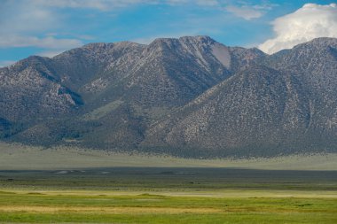 Crowley Gölü'nün yanındaki uzun vadi, Mono County, Kaliforniya. Abd. Bulutlu yaz aylarında arka planda dağ ile yeşil sulak.