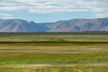 Crowley Gölü'nün yanındaki uzun vadi, Mono County, Kaliforniya. Abd. Bulutlu yaz aylarında arka planda dağ ile yeşil sulak.