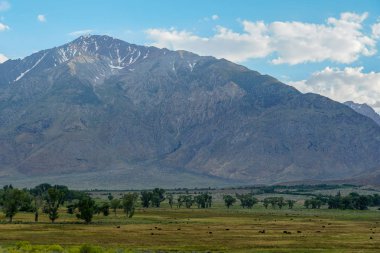 Aspen Springs, Mono County California, Abd arka planda yeşil arazi ve dağ havadan görünümü