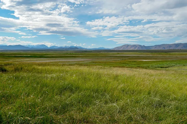 Długa Dolina Obok Jeziora Crowley Mono County Kalifornia Usa Zielone — Zdjęcie stockowe