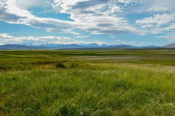 Długa Dolina Obok Jeziora Crowley Mono County Kalifornia Usa Zielone — Zdjęcie stockowe