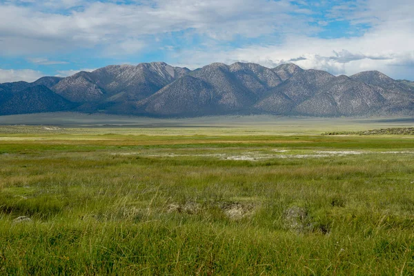 Crowley Gölü'nün yanındaki uzun vadi, Mono County, Kaliforniya. Abd. Bulutlu yaz aylarında arka planda dağ ile yeşil sulak.