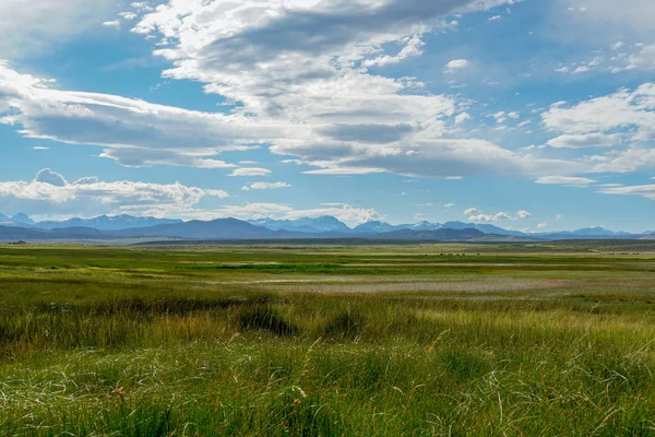 Długa Dolina Obok Jeziora Crowley Mono County Kalifornia Usa Zielone — Zdjęcie stockowe