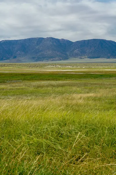 Długa Dolina Obok Jeziora Crowley Mono County Kalifornia Usa Zielone — Zdjęcie stockowe