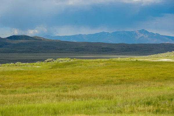 Długa Dolina Obok Jeziora Crowley Mono County Kalifornia Usa Zielone — Zdjęcie stockowe