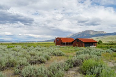 Kırmızı çiftlik arka planda dağ ile büyük bir otlak çiftlik alanında döken. Doğu Sierra Dağları, Mono County, Kaliforniya, Amerika Birleşik Devletleri