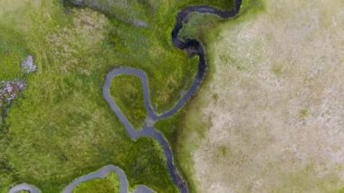 Aspen Springs, mono County California, ABD arka planda dağ ile yeşil arazi ve küçük eğrisi nehir havadan üst görünümü