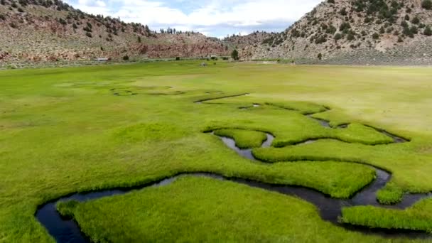 Вид Зелену Землю Невелику Криву Річки Горою Задньому Плані Аспен — стокове відео