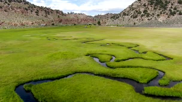 Vue Aérienne Terre Verte Petite Rivière Courbe Avec Montagne Arrière — Video