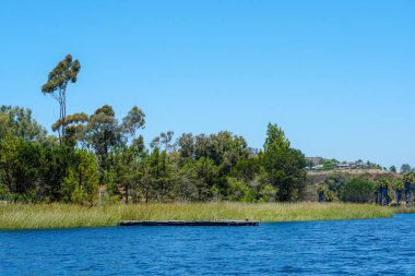 Güzel mavi gökyüzü yaz gününde küçük ahşap iskele ve mavi su, ağaçlar ve yerli sulak bitkiler ile Göl. Scripps Miramar Ranch topluluğunda Miramar rezervuarı, San Diego, Kaliforniya.