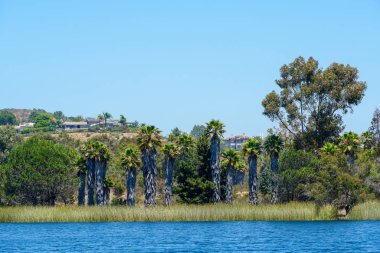 Güzel mavi gökyüzü yaz gününde küçük ahşap iskele ve mavi su, ağaçlar ve yerli sulak bitkiler ile Göl. Scripps Miramar Ranch topluluğunda Miramar rezervuarı, San Diego, Kaliforniya.