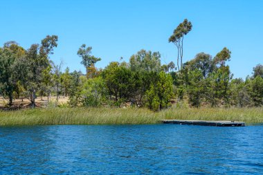 Güzel mavi gökyüzü yaz gününde küçük ahşap iskele ve mavi su, ağaçlar ve yerli sulak bitkiler ile Göl. Scripps Miramar Ranch topluluğunda Miramar rezervuarı, San Diego, Kaliforniya.