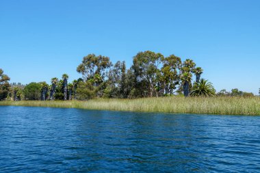 Güzel mavi gökyüzü yaz gününde mavi su, ağaçlar ve yerli sulak bitkiler ile büyük rezervuar gölü. Scripps Miramar Ranch topluluğunda Miramar rezervuarı, San Diego, Kaliforniya. 