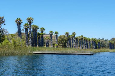 Güzel mavi gökyüzü yaz gününde küçük ahşap iskele ve mavi su, ağaçlar ve yerli sulak bitkiler ile Göl. Scripps Miramar Ranch topluluğunda Miramar rezervuarı, San Diego, Kaliforniya.