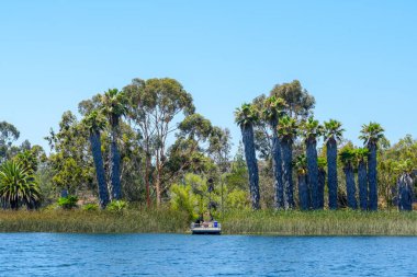 Güzel mavi gökyüzü yaz gününde küçük ahşap iskele ve mavi su, ağaçlar ve yerli sulak bitkiler ile Göl. Scripps Miramar Ranch topluluğunda Miramar rezervuarı, San Diego, Kaliforniya.