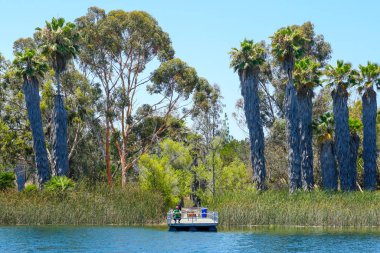 Güzel mavi gökyüzü yaz gününde küçük ahşap iskele ve mavi su, ağaçlar ve yerli sulak bitkiler ile Göl. Scripps Miramar Ranch topluluğunda Miramar rezervuarı, San Diego, Kaliforniya.