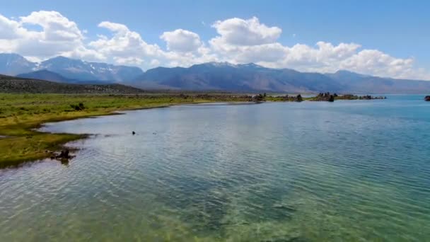 Flygbild Över Mono Lake Med Tufa Klippformationer Sommarsäsongen Mono County — Stockvideo