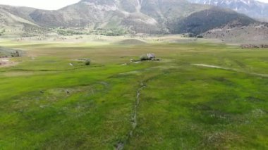 Bir dağın yeşil vadisinde terk edilmiş küçük ahşap ev ahır sonraki küçük nehir havadan görünümü, Aspen Bahar, Mono County, Kaliforniya, Abd. 