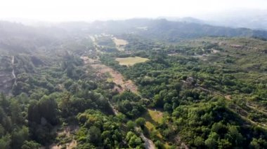 Yaz sezonunda Napa Vadisi 'nde ağaçlar ile yemyeşil tepelerin havadan görünümü. Napa County, California şarap ülkesi, San Francisco Bay Area Kuzey Körfezi bölgesinin bir parçası.