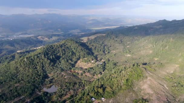 Letecký Pohled Zelené Kopce Stromy Údolí Napa Letní Sezóně Napa — Stock video