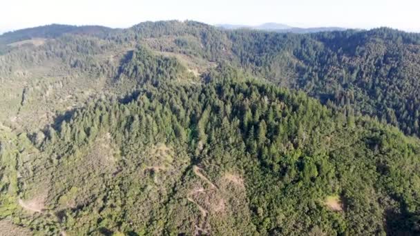 Letecký Pohled Zelené Kopce Stromy Údolí Napa Letní Sezóně Napa — Stock video