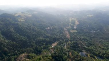 Yaz sezonunda Napa Vadisi 'nde ağaçlar ile yemyeşil tepelerin havadan görünümü. Napa County, California şarap ülkesi, San Francisco Bay Area Kuzey Körfezi bölgesinin bir parçası.
