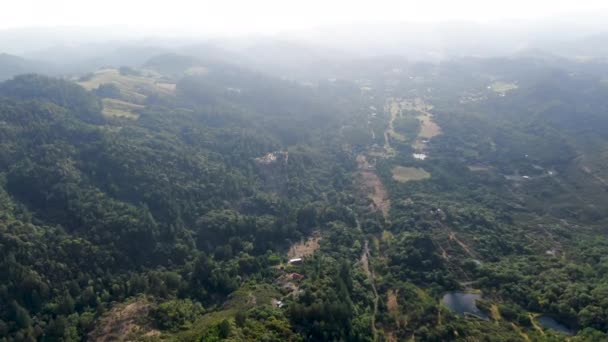 Vista Aérea Las Verdes Colinas Con Árboles Valle Napa Durante — Vídeos de Stock