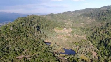 Yaz sezonunda Napa Vadisi 'nde ağaçlar ile yemyeşil tepelerin havadan görünümü. Napa County, California şarap ülkesi, San Francisco Bay Area Kuzey Körfezi bölgesinin bir parçası.