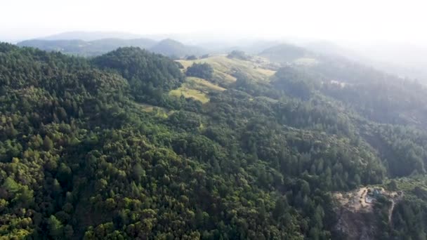 Vista Aérea Las Verdes Colinas Con Árboles Valle Napa Durante — Vídeos de Stock