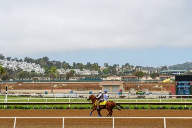 Del Mar yarış pistinde yarış için hazırlanıyor yarış pistinde jokeyler ile Atlar. San Diego'da. California. Abd.