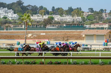 Del Mar yarış pistinde bitiş çizgisine doğru giden jokey ile yarış atları. San Diego'da. California. Abd.
