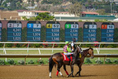 Del Mar yarış pistinde yarış için hazırlanıyor yarış pistinde jokeyler ile Atlar. San Diego'da. California. Abd.