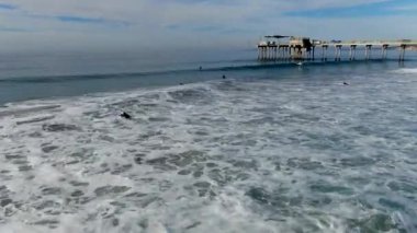 Arka planda oşinografi scripps iskele enstitüsü ile La Jolla dalgalar zevk sörfçü havadan görünümü, La Jolla, San Diego, Kaliforniya, ABD