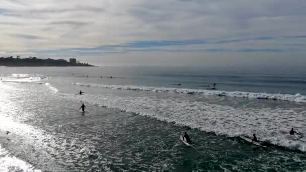 Vista Aérea Surfistas Esperando Remando Disfrutando Olas Antes Del Atardecer — Vídeos de Stock