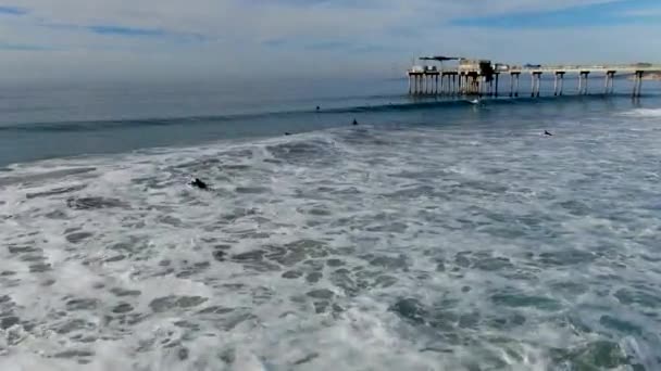 Widok Lotu Ptaka Surferów Korzystających Fale Jolla Scripps Pier Instytut — Wideo stockowe