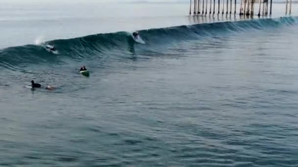 Vista Aérea Surfistas Desfrutando Ondas Jolla Com Pier Institute Scripps — Vídeo de Stock