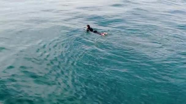 Vista Aérea Surfistas Desfrutando Ondas Jolla Com Pier Institute Scripps — Vídeo de Stock