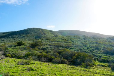 Carmel Vadisi'nin Kara Dağı'nın tepesinden, yan yana aynı villaların bulunduğu banliyö mahallesinden manzara. San Diego, Kaliforniya, Amerika Birleşik Devletleri. 