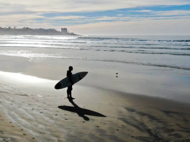 Sahilde sörf tahtası tutan ıslak takım elbiseli sörfçühavadan görünümü. Sörfçü su dışarı gidiyor ve gün batımı sırasında yürüyüş, La Jolla Beach, San Diego, California, Abd.