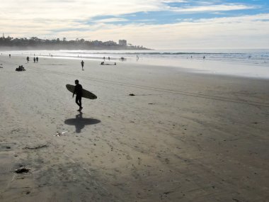 Sahilde sörf tahtası tutan ıslak takım elbiseli sörfçühavadan görünümü. Sörfçü su dışarı gidiyor ve gün batımı sırasında yürüyüş, La Jolla Beach, San Diego, California, Abd.