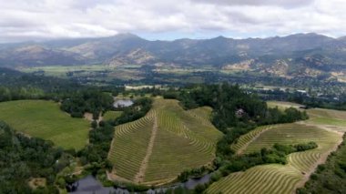Yaz sezonunda Napa Vadisi bağ peyzaj havadan görünümü. Napa County, California şarap ülkesi.