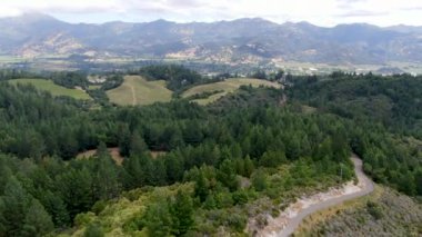 Yaz sezonunda Napa Vadisi bağ peyzaj havadan görünümü. Napa County, California şarap ülkesi.