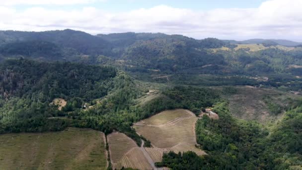 Vue Aérienne Paysage Viticole Vallée Napa Pendant Saison Estivale Comté — Video